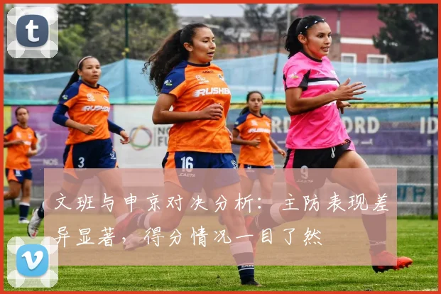 文班与申京对决分析：主防表现差异显著，得分情况一目了然