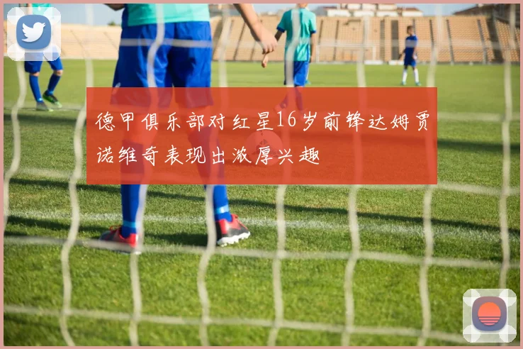 德甲俱乐部对红星16岁前锋达姆贾诺维奇表现出浓厚兴趣