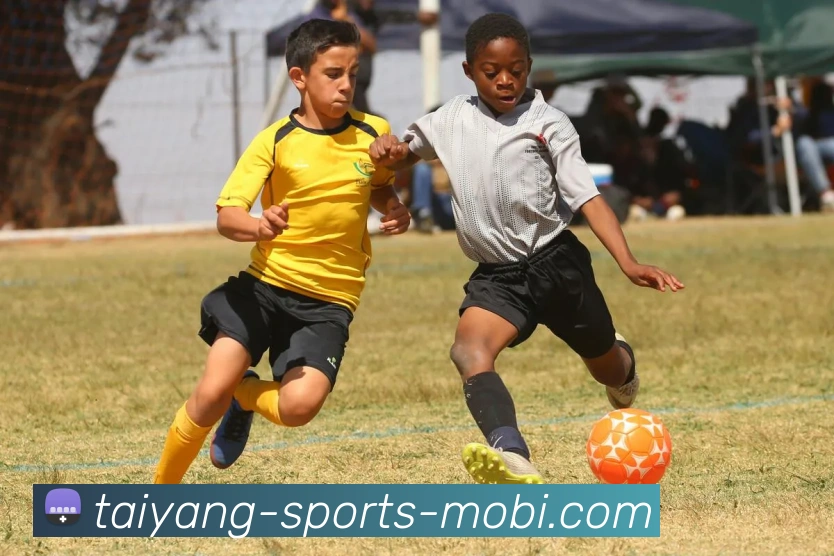 太阳城平台生态图